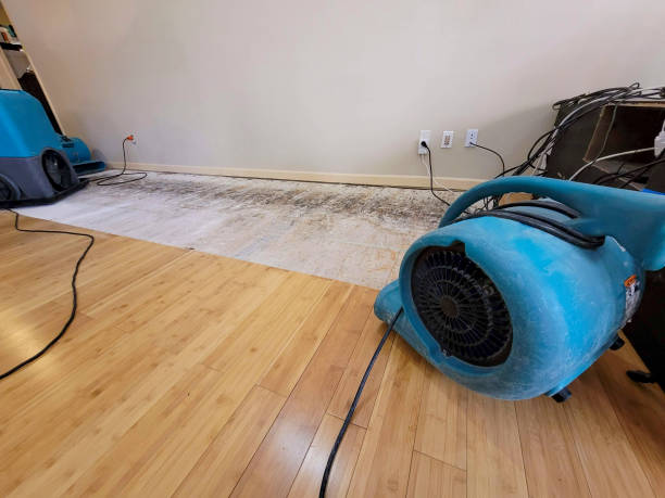 Professional Ceiling Water Damage Repair technician working in Peachtree City, GA